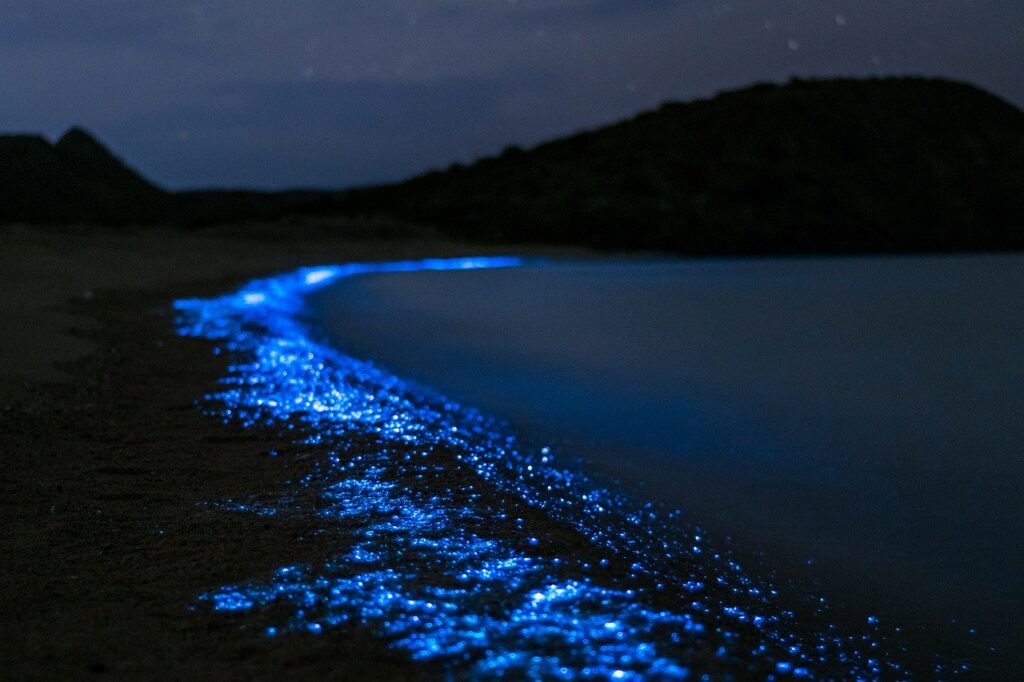 Voir le plancton  bioluminescent au Cambodge une 